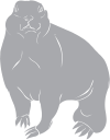 Mammal Clipart