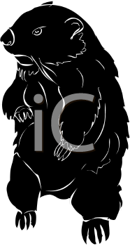 Mammal Clipart