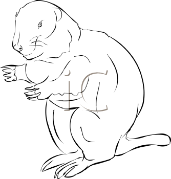 Mammal Clipart