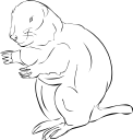 Mammal Clipart