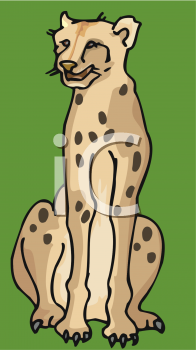 Cheetah Clipart