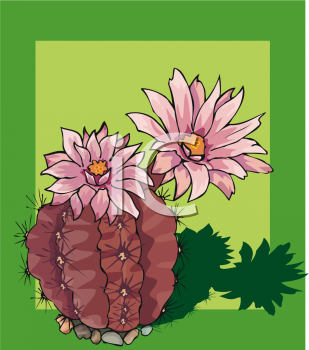 Cactus Clipart