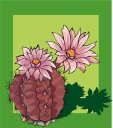 Cactus Clipart