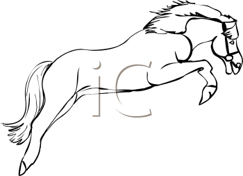 Horse Clipart