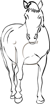 Horse Clipart