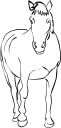 Horse Clipart