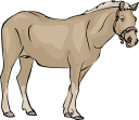 Horse Clipart