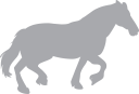 Horse Clipart