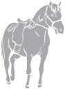 Horse Clipart