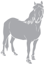 Horse Clipart