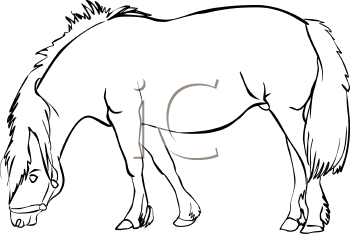 Horse Clipart