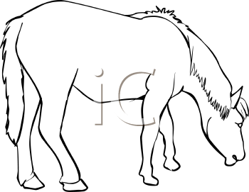 Horse Clipart