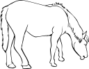 Horse Clipart