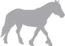 Horse Clipart