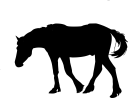 Horse Clipart