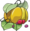 Pumpkin Clipart