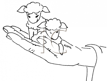 Sheep Clipart