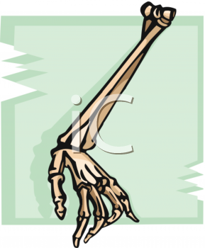 Anatomy Clipart