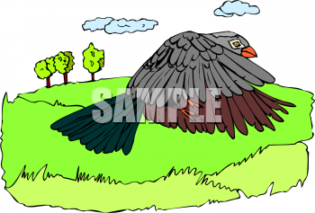 Eagle Clipart