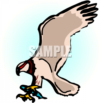 Eagle Clipart