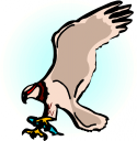 Eagle Clipart