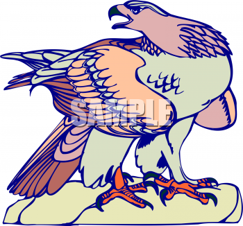 Eagle Clipart