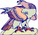 Eagle Clipart