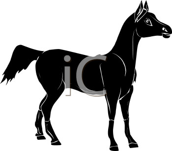 Horse Clipart