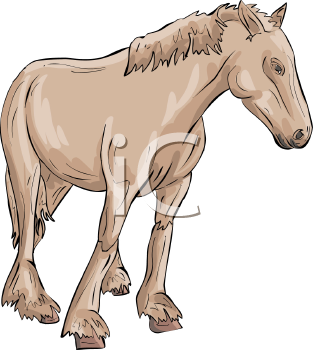 Horse Clipart