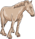 Horse Clipart