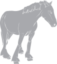 Horse Clipart