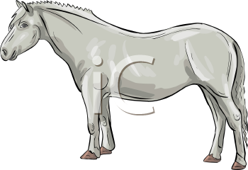 Horse Clipart