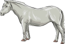 Horse Clipart