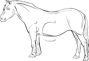 Horse Clipart