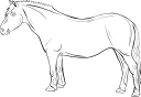 Horse Clipart