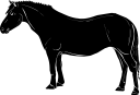 Horse Clipart