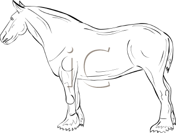 Horse Clipart