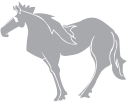 Horse Clipart