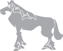 Horse Clipart