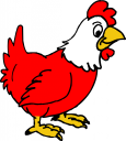 Chicken Clipart