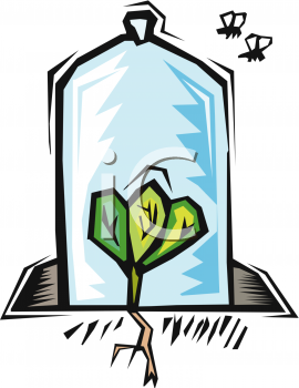 Royalty Free Greenhouse Clipart