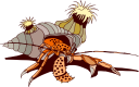 Crab Clipart