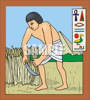 Grain Clipart