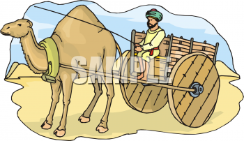 Camel Clipart