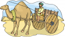 Camel Clipart