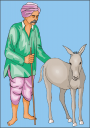 Donkey Clipart