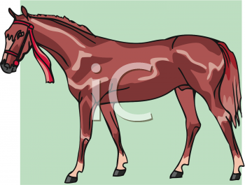 Horse Clipart