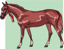 Horse Clipart