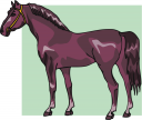 Horse Clipart