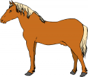 Horse Clipart